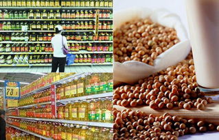 轉(zhuǎn)基因食品的標(biāo)識(shí)迷局 廠家為何遮掩，消費(fèi)者如何識(shí)別？